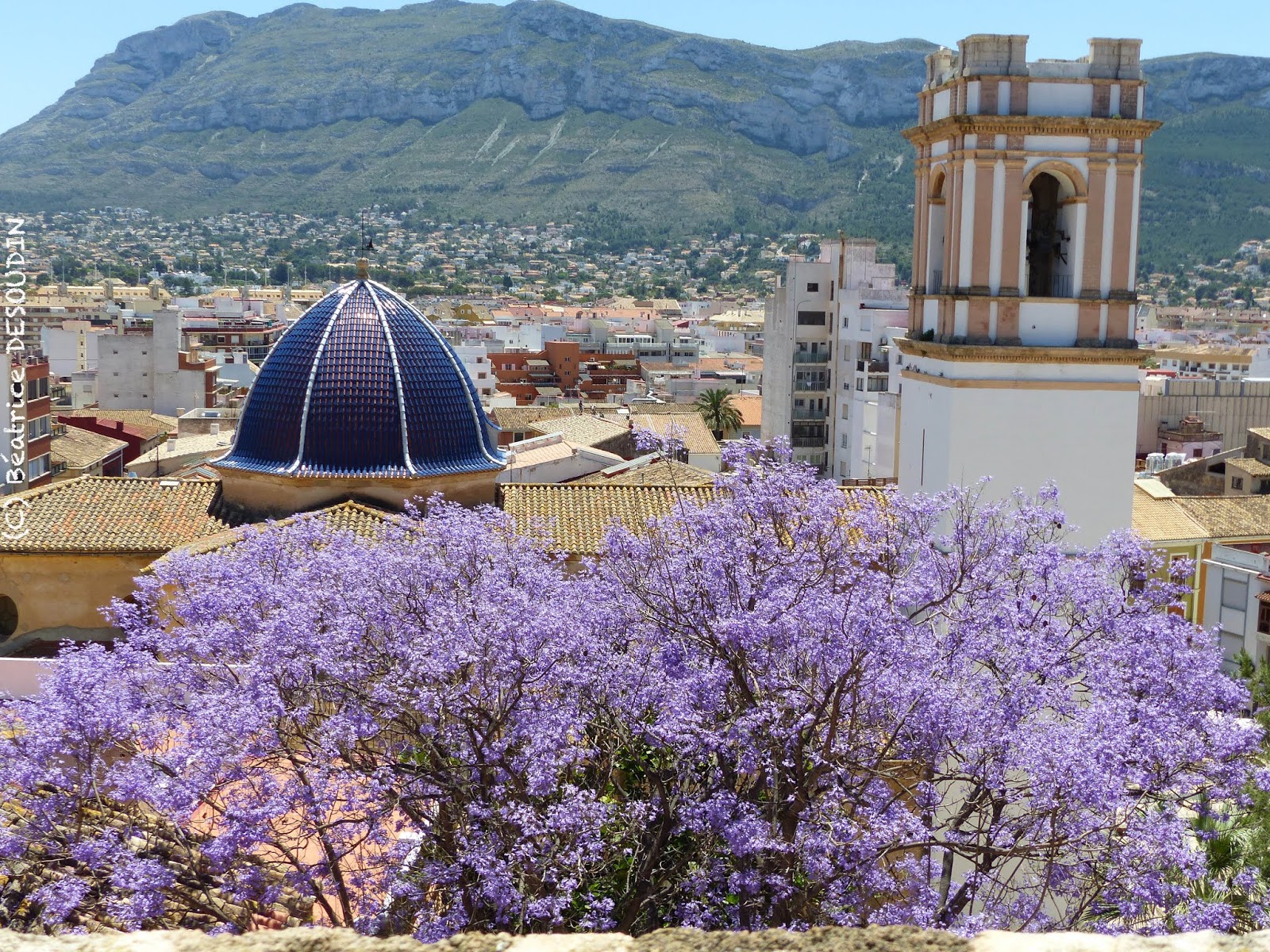 Le nautile en voyage annuel a Javéa