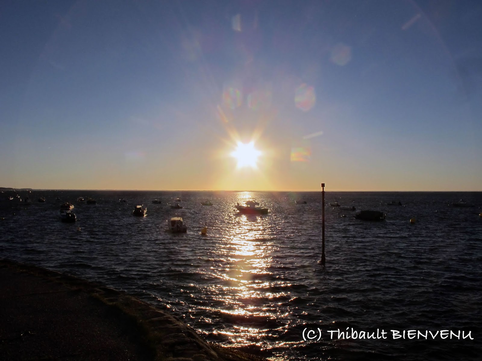 Plongée sur le Chariot du bassin d&rsquo;Arcachon avec le Nautile